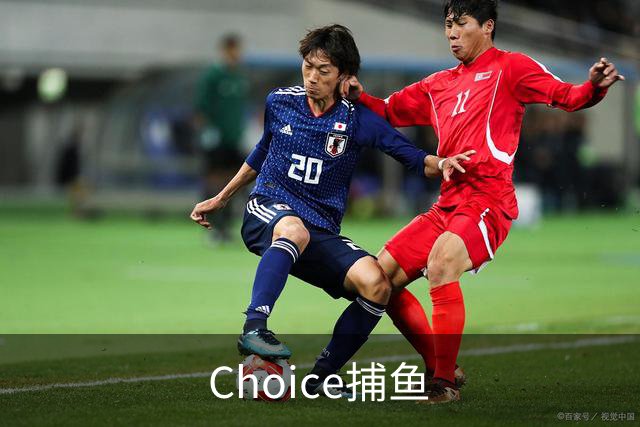 Choice捕鱼公司简介